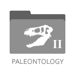 Paleontology II