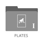 Plates I