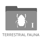 Terrestrial Fauna I