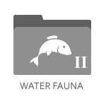 Water Fauna II